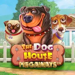 The Dog House Megaways game at Asino Casino for Australia players