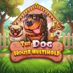 The Dog House Multihold game at Asino Casino for Australia players